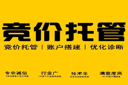 SEM推广代运营案例：品牌塑造